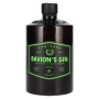 🌾Bavion's Gin LUMINOUS 45% Vol. 0,5l | Spirits Village