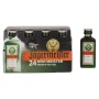 🌾Jägermeister 35% Vol. 24x0,02l | Spirits Village