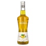 🌾La Liqueur de Monin GELBE BANANE 20% Vol. 0,7l | Spirits Village