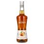 🌾La Liqueur de Monin ORANGE CURACAO 24% Vol. 0,7l | Spirits Village