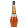 🌾Bols Apricot Brandy Liqueur 24% Vol. 0,7l | Spirits Village