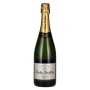 🌾Nicolas Feuillatte Champagne Sélection Brut 12% Vol. 0,75l | Spirits Village