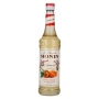 🌾Le Sirop de Monin AMARETTO 0,7l | Spirits Village