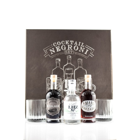 🌾Cocktail Negroni Set 3x 0,2l inkl. glas och karaff | Spirits Village