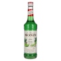 🌾Le Sirop de Monin GRÜNE BANANE 0,7l | Spirits Village