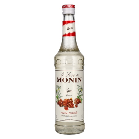 🌾Le Sirop de Monin GOMME 0,7l | Spirits Village