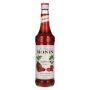 🌾Le Sirop de Monin RASPBERRY 0,7l | Spirits Village