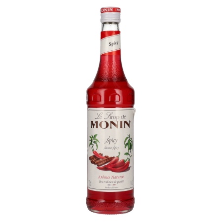 🌾Le Sirop de Monin SPICY 0,7l | Spirits Village