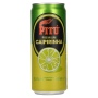 🌾Pitú Premium Caipirinha 5,5% Vol. 0,33l Dose | Spirits Village