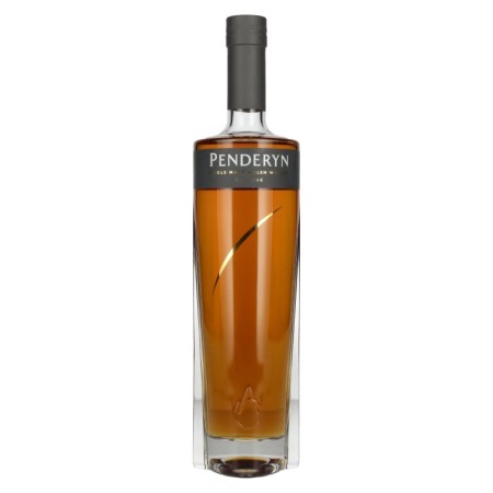 🌾Penderyn RICH OAK Single Malt Welsh Whiskey 46% Vol. 0,7l | Spirits Village