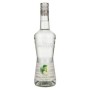 🌾La Liqueur de Monin MANZANA VERDE 20% Vol. 0,7l | Spirits Village