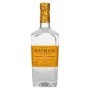 🌾Hayman's of London EXOTIC CITRUS GIN 41,1% Vol. 0,7l | Spirits Village