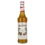 🌾Le Sirop de Monin PASSIONSFRUCHT 0,7l | Spirits Village