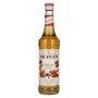 🌾Le Sirop de Monin MAPLE SPICE 0,7l | Spirits Village