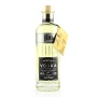 🌾Filliers Premium Grain Vodka Lemon 40%vol. 0,5l | Spirits Village