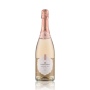 🌾Gratien & Meyer Cremant de Loire Brut Rosé trocken 12% Vol. 0,75l | Spirits Village