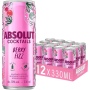 🌾Absolut Cocktails Berry Fizz Dose 10% Vol. 12x0,33l | Spirits Village