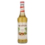 🌾Le Sirop de Monin HASELNUSS 0,7l | Spirits Village