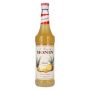 🌾Le Sirop de Monin ANANAS 0,7l | Spirits Village