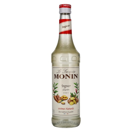 🌾Le Sirop de Monin INGWER 0,7l | Spirits Village