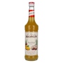 🌾Le Sirop de Monin PIÑA COLADA 0,7l | Spirits Village